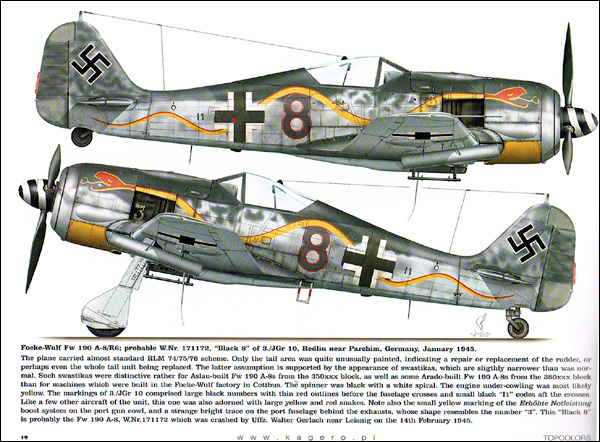Fw 190s over Europe - Part 2