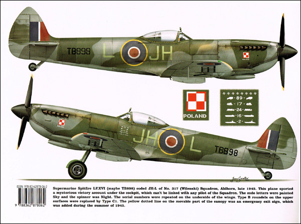 Polish Spitfires